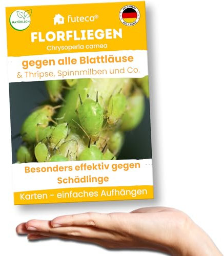 Futeco® – Florfliegenlarven gegen Blattläuse, Spinnmilben, Thripse & Co. - Karten zum einfachen Aufhängen - 5 Karten für 5-10 Pflanzen - starke Wirkung bei Gemüse-, Zier- & weiteren Pflanzen