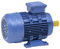 vidaXL Moteur Electrique Triphasé Moteur à Courant Alternatif Compresseur Palan Treuil Entraînement de Poulie 2,2kW/3 CH 2 Pôles Aluminium 2840 tr/min
