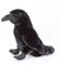 Rabe 33 cm Krähe schwarz Kuscheltier Vogel Plüschvogel Uni-Toys