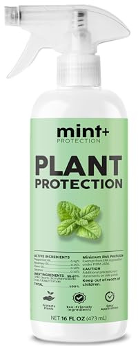 Mint+ Plant Protection Spray, Insect & Pest Control for Indoor & Outdoor Plants, 16 oz (475mL)