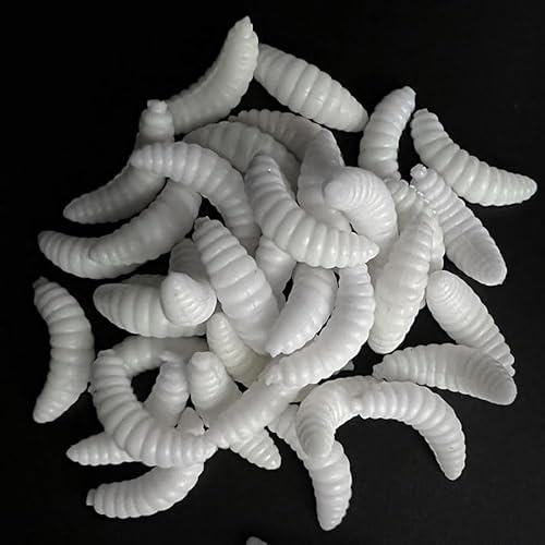 EVERBAY Worms for Fishing Soft Lures - Fake Worms Lures – Carp Fishing Bait – Brown Trout Barbel Silicone Soft Maggot Artificial Bait Lifelike Swimbait - 50pcs 2cm/0.3g
