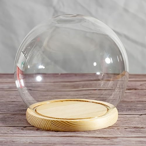 Glasklocka för burkar, Glaskupol med massiv träbas 10-15 cm diameter x 8-13 höjd(Dia12*H10)