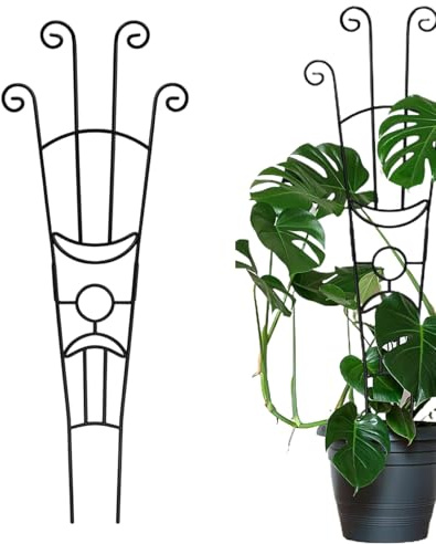 Trädgårdsspaljé för klätterväxter – stödsinsatser, pothos stödinsatser | för trädgårdsentusiaster trädgård balkong pothos murgröna klematis