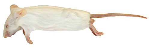 Peregrine Livefoods Frozen Mice - Medium Size 15-22g - Pack of 10