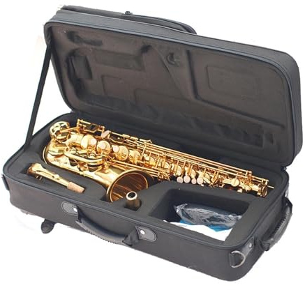 Professionell Saxofon Altsaxofon I Ess moll Mässing