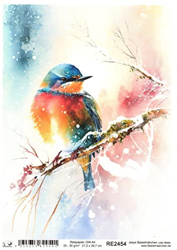 Josys Bastelmärchen Reispapier A4 Strohseide Bunte Vögel Vogel im EIS auf AST Schnee Winter RE2454