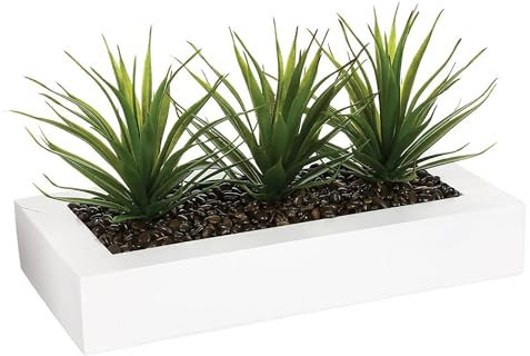 Well Home - Centro de Mesa Decorativo con 3 Plantas Aloe Vera H.17cm