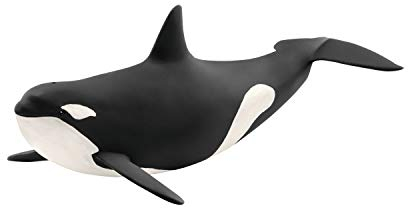 schleich WILD LIFE 14807 Realistische Orca Killerwal Tierfigur - Authentisches Wilder Orca Killerwal Tiere Spielzeug - Tiere Figuren Sets für Fantasievolles Spiel ab 3 Jahren