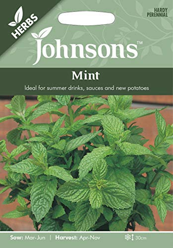 Johnsons Seeds Mint Spearmint Herb Seed
