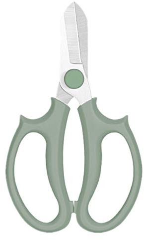 Chchmu Flower Scissors Garden Pruning Shears, Hand Creation, Floral Scissors for Arranging Flowers, Fruits Leaves, Pruning, Trimming Plants, Gardening Tool, Green