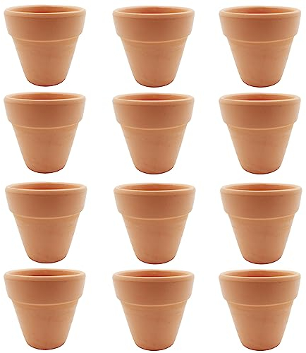 Molyorch 12 Pièces Pot en Terre Cuite de Succulent Cactus, pour Fleurs, Cactus, Plantes Grasses, pour LeJardinage, Le Bricolage, des Cadeaux de Mariage (6,5 x 6cm)