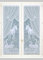 Homemaison Equestre Paire de vitrages Esprit, Polyester, Blanc, 120x60 cm