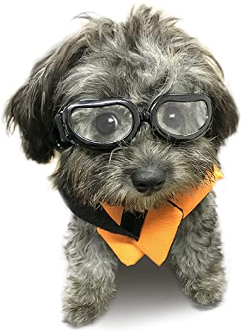 Enjoying Kleine Hundebrille Schutzbrille für Hunde Kleiner Rassen UV-Schutz Augenschutz Winddichte Anti-Fog-Haustierbrille für Hunde über 5 lbs, Durchsichtig