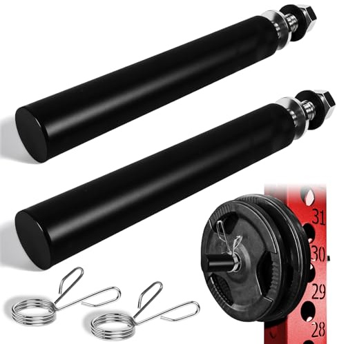 Topfinder Weight Plate Holder Power Rack Accessories, Olympic Discs Bumper Plates Storage for Power Cage Attachments (50MM,1 inch hole-2P)