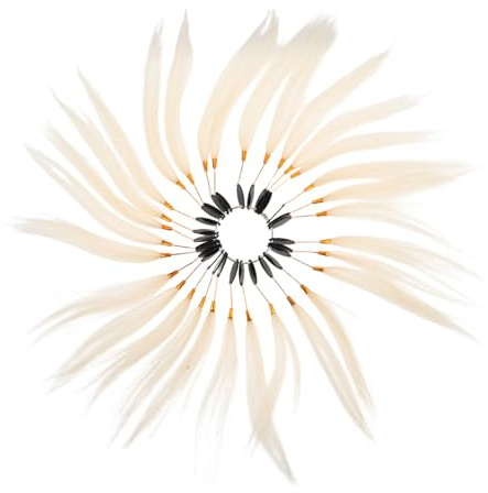 Beaupretty Anneaux Échantillons De Coloration Capillaire Test De Coloration Capillaire Échantillon De Cheveux Pour Test De Couleur