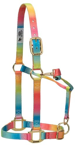 Weaver Leather Capezza regolabile in poliestere arcobaleno per mento e gola a scatto, 2,5 cm, piccolo cavallo