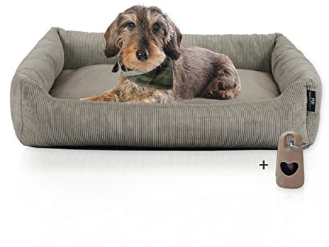 Rohrschneider Hundebett waschbar für kleine und mittelgroße Hunde mit Hundekissen Cord Taupe (ca. 70x50 cm) inkl. Gassibeutel