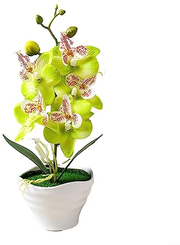 DAZZLEEX Bonsaï artificiel, orchidée artificielle en pot, fleur d'orchidée d'intérieur, plante verte en pot, décoration (type A)