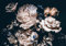 Forwall - Vlies Fototapete Blumen Vintage Pfingstrosen Schwarz Rosen Dunkel 254x184 cm - Fototapeten - Tapeten - für Wohnzimmer Schlafzimmer - Vliestapete Wandtapete Tapete 3D Effekt- inkl. Kleister