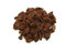 Sustrato para orquídeas – Sustrato Bark específico para todos los tipos de orquídeas – 5 litros
