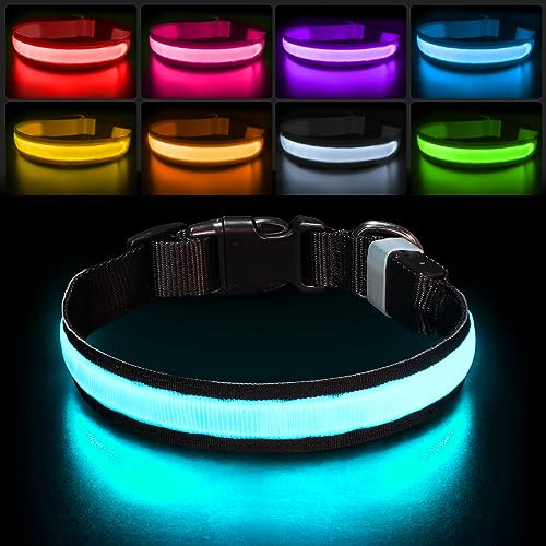 PcEoTllar Collier Lumineux Chien, Collier Chien LED Rechargeable et Etanche Clignotant, Collier Chien Fluorescent avec 7 Couleurs, Sécurité avec Réglable pour Petits Moyens Gros Chiens, Noir-M