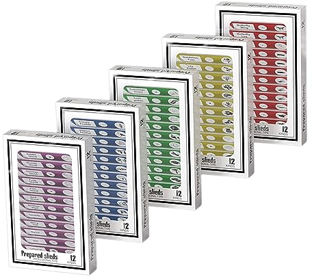 Kunststoff vorbereitete Mikroskop-Dias für Kinder, Cainda 60pcs Tiere Insekten Pflanzen Blumen Biologische Probe, Stereomikroskop-Dia für Studenten Erwachsene Biologie Science Programme