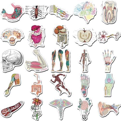 CALLYSONIC Klistermärken för bärbar dator, anatomy klistermärken, meme klistermärken, 50 stycken tecknade organ anatomy diagramklistermärken, lämpliga för bärbara datorer, tekoppar, surfplattor