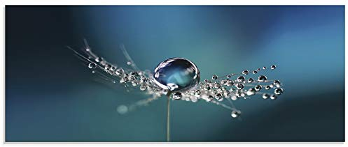 ARTland Wanddeko Glasbilder Wandbild Glas Bild einteilig 125x50 cm Querformat Blumen Pusteblume Wassertropfen Natur Modern Blau U1TB