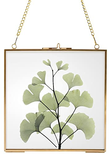 Homtone Guld hängande fotoram i glas, klar vägghängande bildram för torkade blommor blad, gör-det-själv konstverk display korthållare, väggdekor, 16 x 16 cm