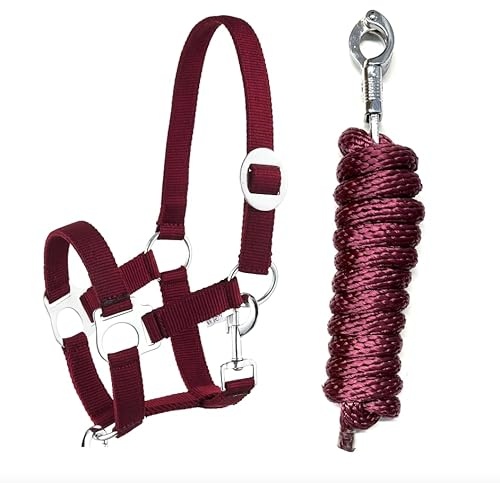 Halfter Führstrick Set mit Panikhaken verstellbar Pferdehalfter Pferd Holzpferd Anbindestrick (Panikhaken Wein, Shetty)