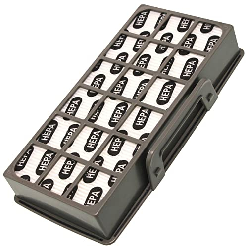 Filtro HEPA aspirador RS-RT4310, ZR920101 Rowenta