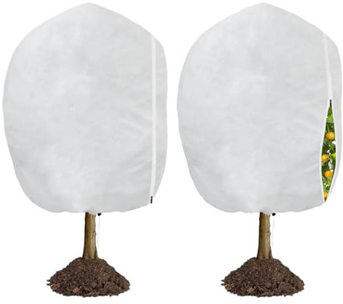 LINSOCLE 2 Pezzi 240 x 200 cm Cappuccio Protezione Piante Inverno, Telo per Piante Inverno Antigelo, Sacco Antigelo per Piante, Protezione Piante dal Freddo per Agrumi Limone in Vaso