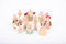 TickiT 73496 Verzauberte Holzfiguren, [White, Black, Green, Brown, Pink, Pink]