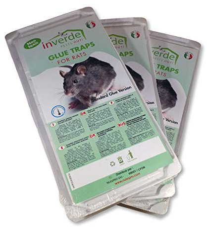 Piège à Colle, 3 Lots = 6 plaques Plastique de glu Anti Rat et Anti Souris - NUISIPRO