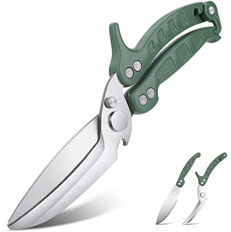DRAGON RIOT Geflügelschere Abnehmbare, Heavy Duty Fleischschere, Mehrzweck-Küchenschere zum Schneiden von Knochen, Fleisch, Geflügel, Gemüse, Meeresfrüchte und Pizza, Knochenschere Grün