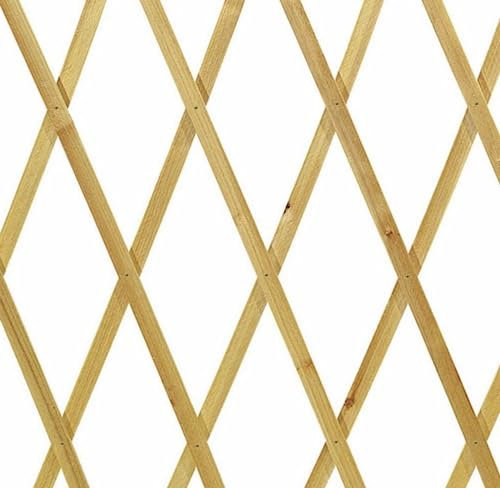 NG NICCOLAI TRALICCIO ESTENSIBILE BAMBOO VARIE MISURE (200x200 CM)