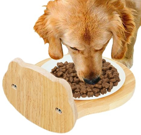 Cuenco De Alimentos para Mascotas – Cuenco De Comida para Perro Pequeño | Contenedor De Alimentación De Agua Antiderrame | Cuencos De Alimentos Impermeables para Mascotas | Tazón De Agua De Cajones