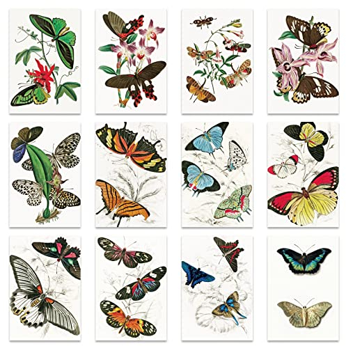 Berkin Arts Alle Gelegenheiten Süße Blume Floral Schmetterling Arte Grußkarten Blanko 12er-Pack mit Umschläge 10 x 15 cm Klappkarten, Geschenkkarte Jahrestag Liebeskarte für Erwachsene Frau