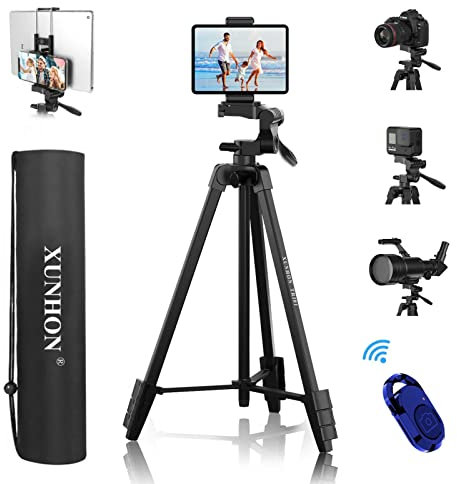 PROTECTA | Purin d'Orties 1,5L | Engrais Liquide BIO pour Potager et Plantes du Jardin | Insecticide Naturel Contre les Pucerons, cochenilles , Araignees Rouges, Larves de Coccinelles