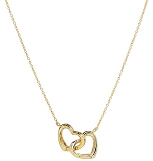 SECRETBOX Bijoux luxe Collier pendentif Double Cœur Entrelacé plaqué or 14k chaine fine