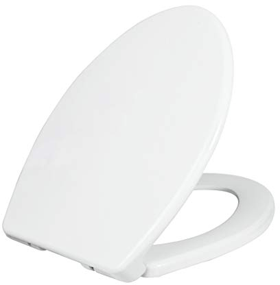 Luxe Bidet TS1008E Toilet Seat, White, Elongated