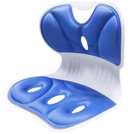Support de Chaise Ergonomique pour la Posture, Support Lombaire