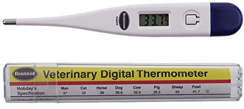 Brannan Thermomètre Numérique Vétérinaire pour Chiens, Chats, Chevaux et Autres Animaux de Compagnie avec Tableau des Spécifications Vétérinaires Hobday's Offert, Affichage LCD