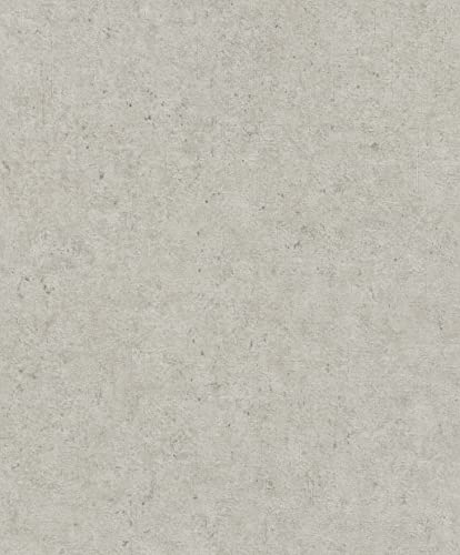 Rasch Tapeten Vliestapete (universell) Grau 10,05 m x 0,53 m Concrete 520859