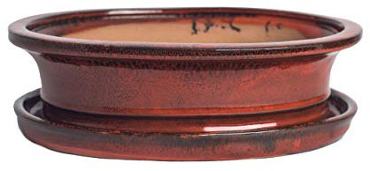 Keramik Bonsai-Schale mit Untersetzer, 4 Farben, Hochwertige Pflanzschale für Innen und Außen, Rechteckig & Oval (Rot, 20 cm)