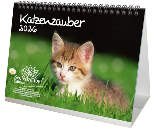 Calendrier de table DIN A5 pour chats et bébés chats 2026 Seelenzauber