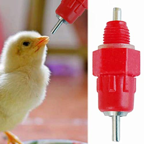 20 Pcs Eau Tetine Poulet Alimentateur Fournitures de Volaille Poule Vis dans le style