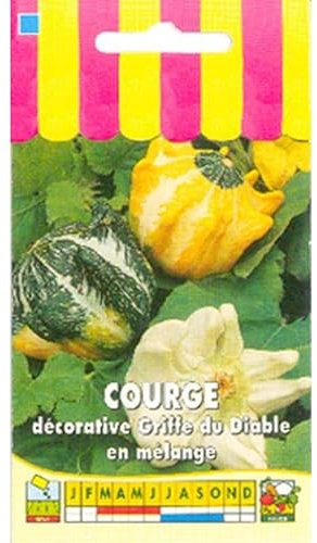 Sachet de graines de Courge décorative Griffe du diable en mélange - 3 g - légume décoratif - LES GRAINES BOCQUET