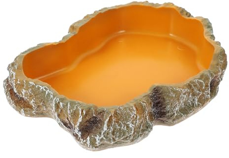 Outanaya Bol Alimentation pour Reptiles et Tortues Récipient et Sûr pour Terrarium Couleur Naturelle Moyenne Adaptée Nourrissage Hydratation des Reptiles