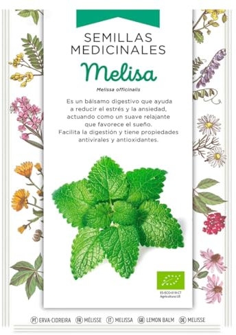Semillas Medicinales - Melisa - Semillas listas para plantar.
